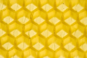 beeswax-15257_640