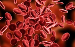 blood-cells54507406