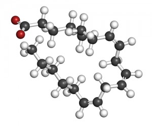 fatty-acid488417905