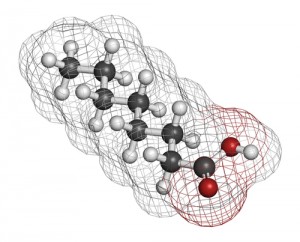 fatty-acids5529275