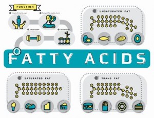 fatty-ascids14252082