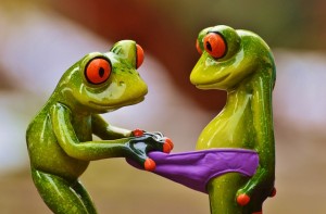 frogs-1159441_640