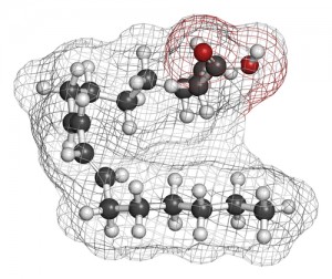 linoleic-acid23001