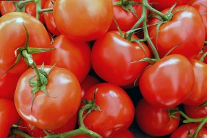 tomatoes-1263086_640