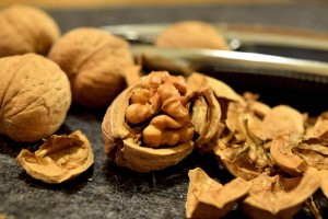 walnuts-932080_640