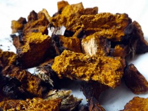 Chaga-Mushroom-Pieces