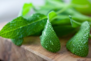 Fresh-Sage-Leaves-iStock