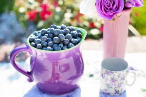 blueberries-864628_640