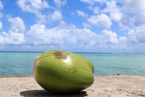 coconut-1179414_640