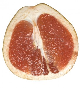 grapefruit-395345_640