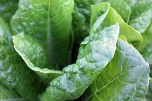 green-vegetables-1149790_640