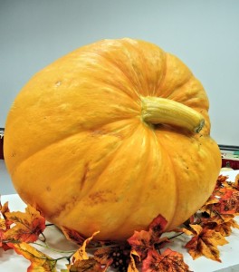 large-pumpkin-959123_640