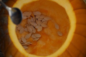 pumpkin-seeds-201098_640