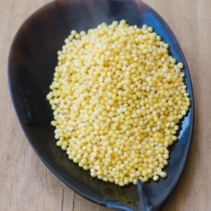 sorghum