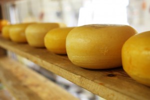 cheese-2785_640