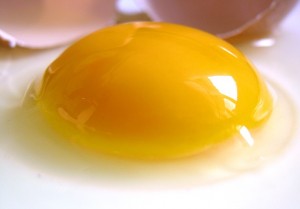 egg-552848_640