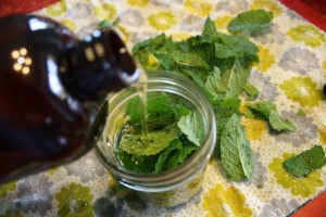 pepper-mint-oil3