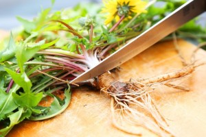 dandelion-tea-step2