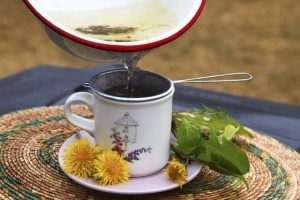 dandelion-tea-step4