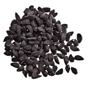 blackcumin-seed2540751