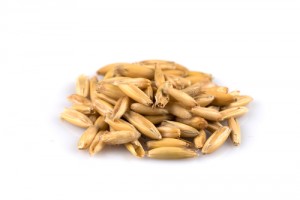 wheat-bran_532040179